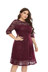 Contrast Lace Semi Sheer / Sleeve Midi Dress,