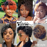 Short Pixie Curly Bob Wig Lace Front Human