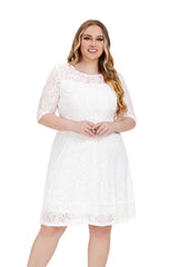 Contrast Lace Semi Sheer / Sleeve Midi Dress,