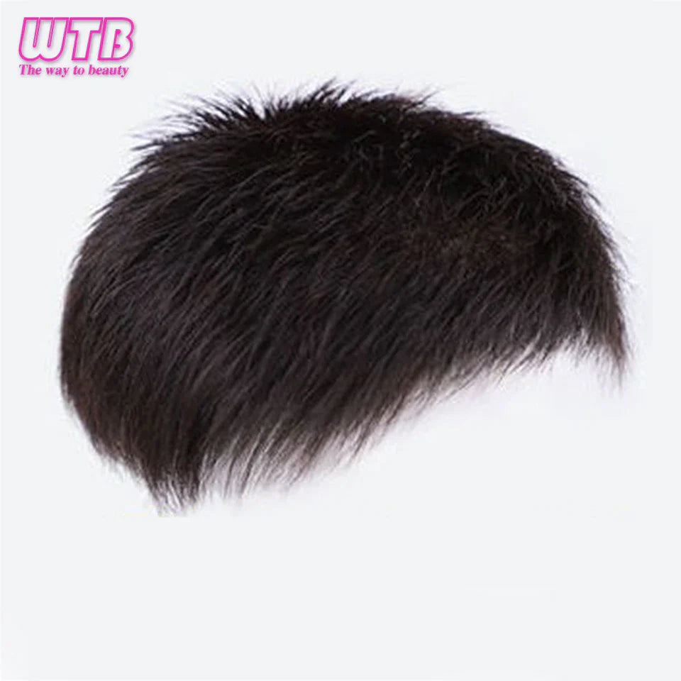 Synthetic Natural Male Toupee Short Wig Hair Style