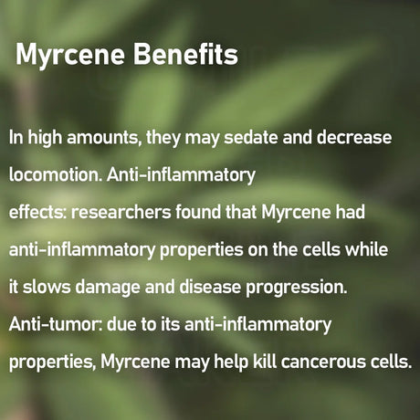 Food-Grade Natural Beta Myrcene Terpene Oil With