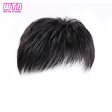 Synthetic Natural Male Toupee Short Wig Hair Style