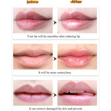 Wholesale Lip Balm Fruit Flavor Lip Gloss