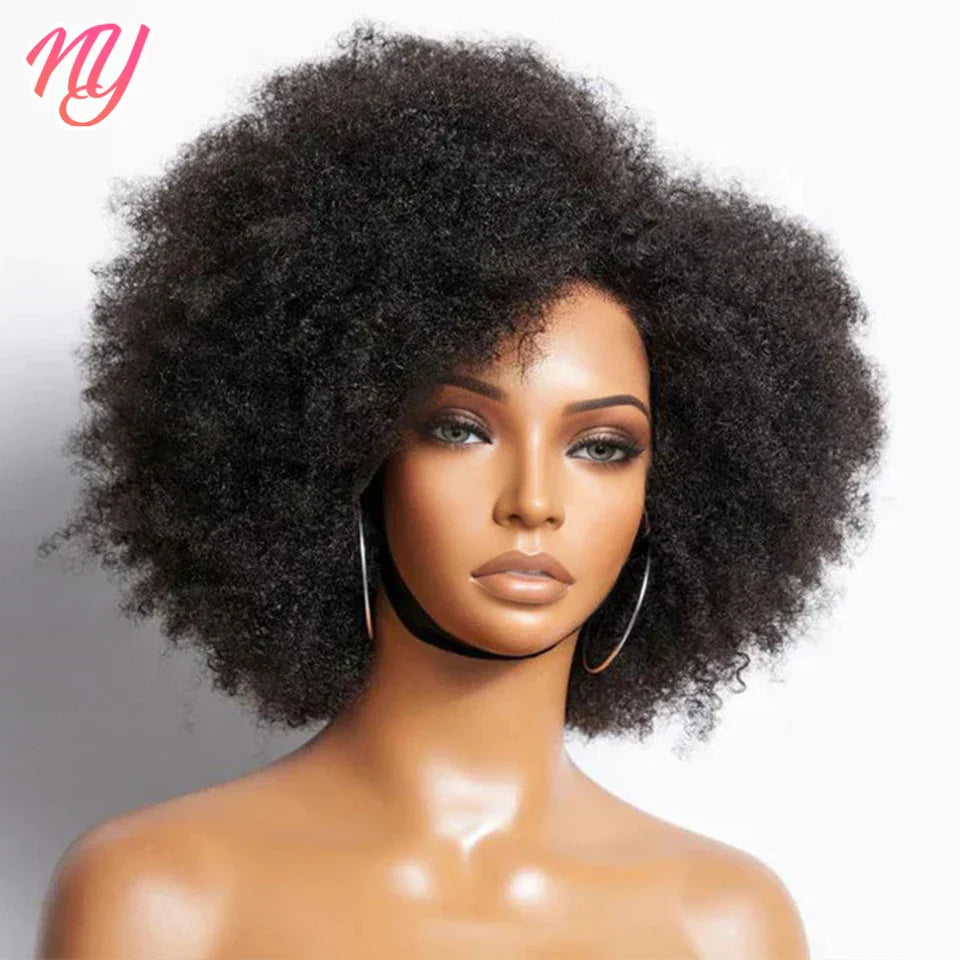 Afro Kinky Curly Lace Front Wig Brazilian Remy