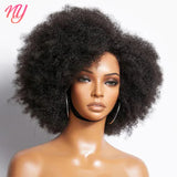 Afro Kinky Curly Lace Front Wig Brazilian Remy