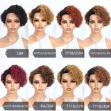 Short Pixie Curly Bob Wig Lace Front Human