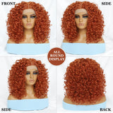 Kinky Curly Synthetic Lace Front Wig Black