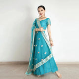 Traditional Indian Clothing Pakistani Sari Women' Elegant Dress