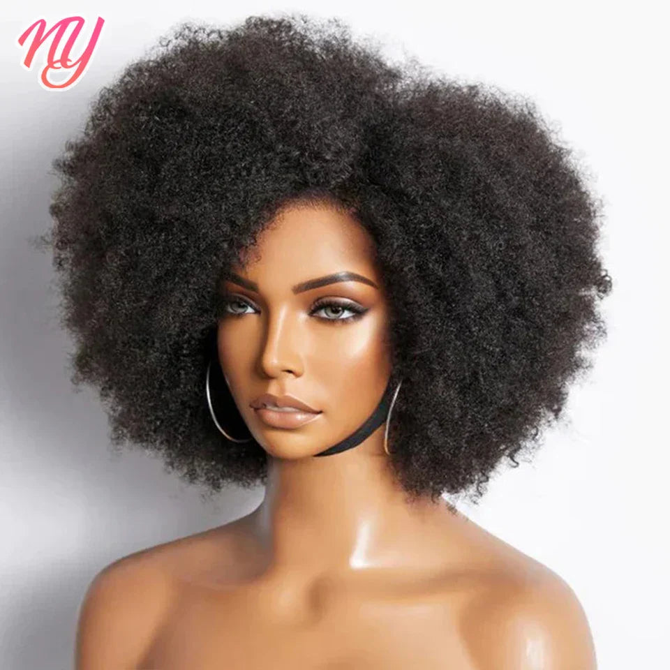 Afro Kinky Curly Lace Front Wig Brazilian Remy