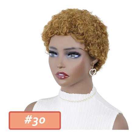 Kinky Curly Wigs Short Wigs For Black Women