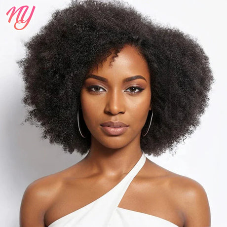 Afro Kinky Curly Lace Front Wig Brazilian Remy