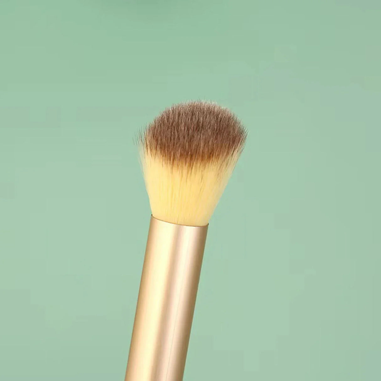 Essentials Makeup Brushes Portable Cosmetic Brushes