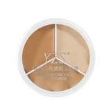 Colors Concealer Palette Makeup Face Eye Contour