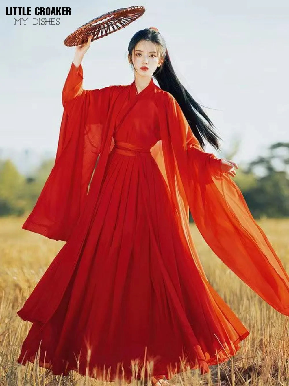 Chinese Traditional Folk Dance Costume Women Hanfu Clothing