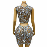 Silver Big Rhinestones Shining Top Skirt Set Sexy
