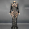 Sparkly Silver Big Rhinestone Transparent Long Dress Evening