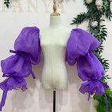 Translucent Organza Sleeve Gorgeous Ribbons Dreamlike Puff Sleeve