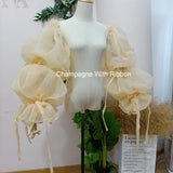Translucent Organza Sleeve Gorgeous Ribbons Dreamlike Puff Sleeve