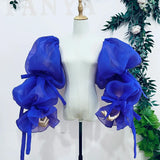 Translucent Organza Sleeve Gorgeous Ribbons Dreamlike Puff Sleeve