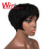 Human Hair Kinky Straight Wig Short Wet And